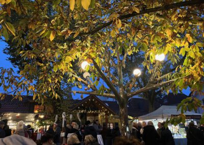 Sternenmarkt im Faselstall 2024